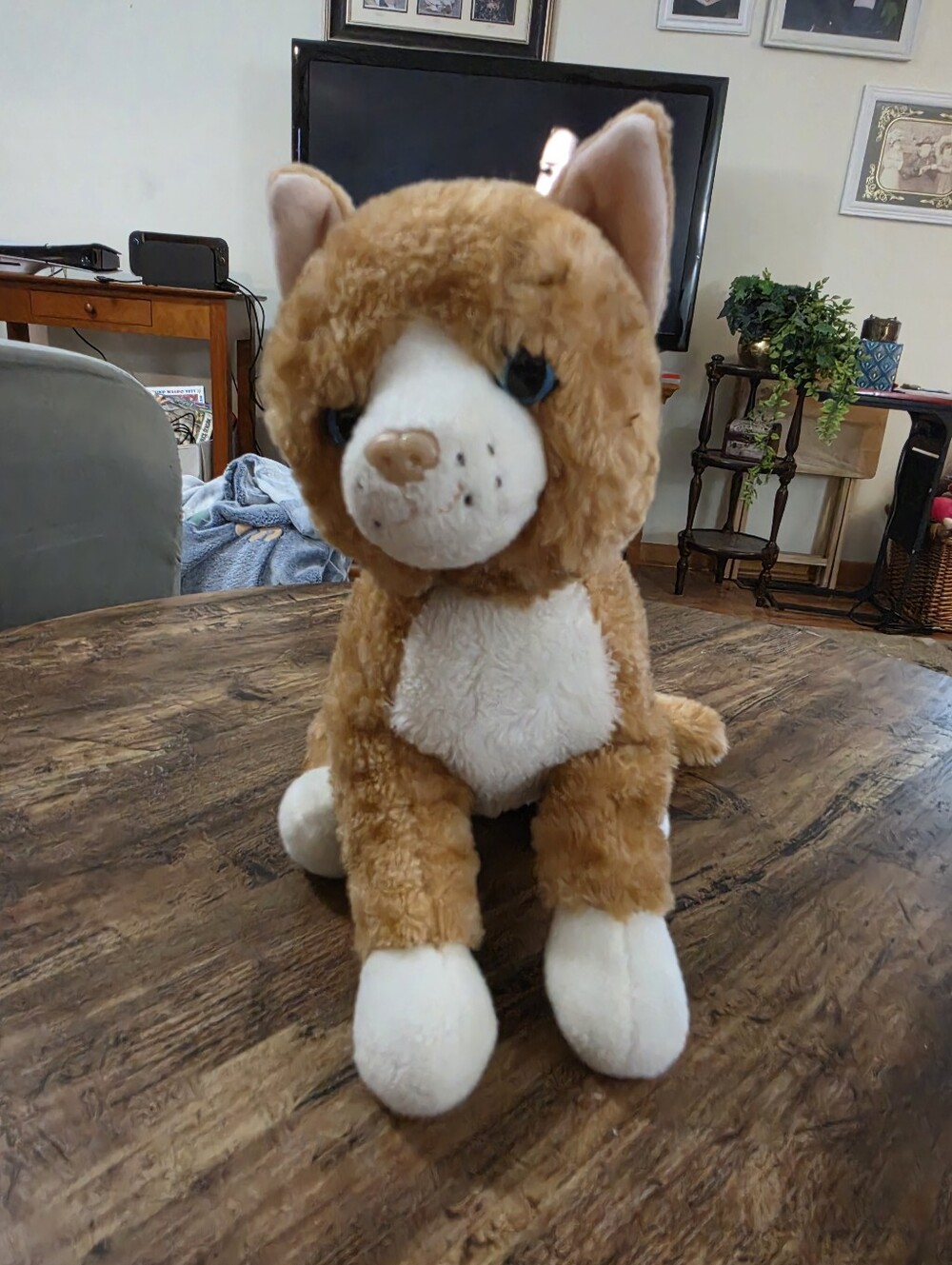 The Petting Zoo Cat Plush